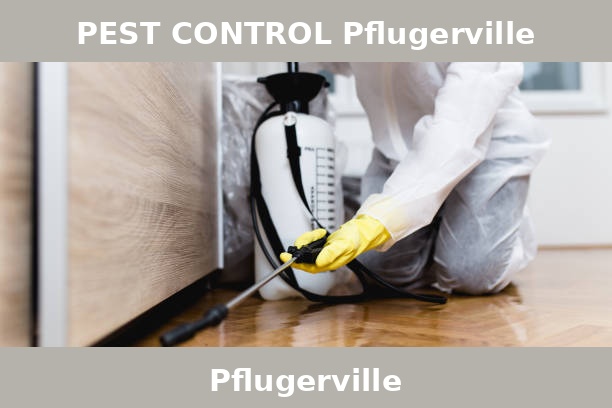 PEST CONTROL Pflugerville